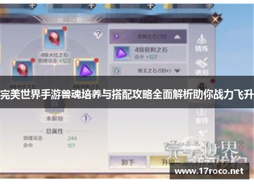 完美世界手游兽魂培养与搭配攻略全面解析助你战力飞升